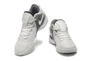 Nike Zoom LeBron NXXT Gen 'Wolf Grey'